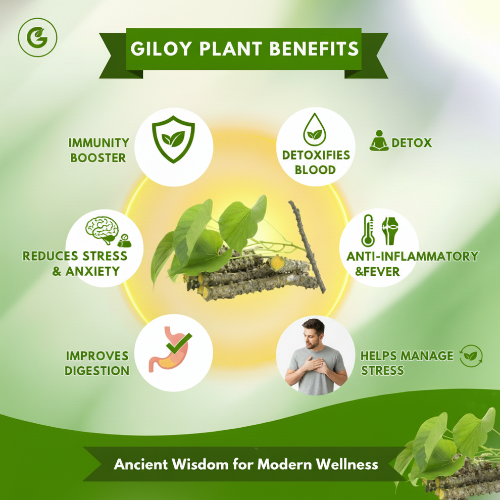 Herbal Giloy Patches 🌿✨ (Buy 1 Get 1 Free🔥🔥) (Pack of 20)