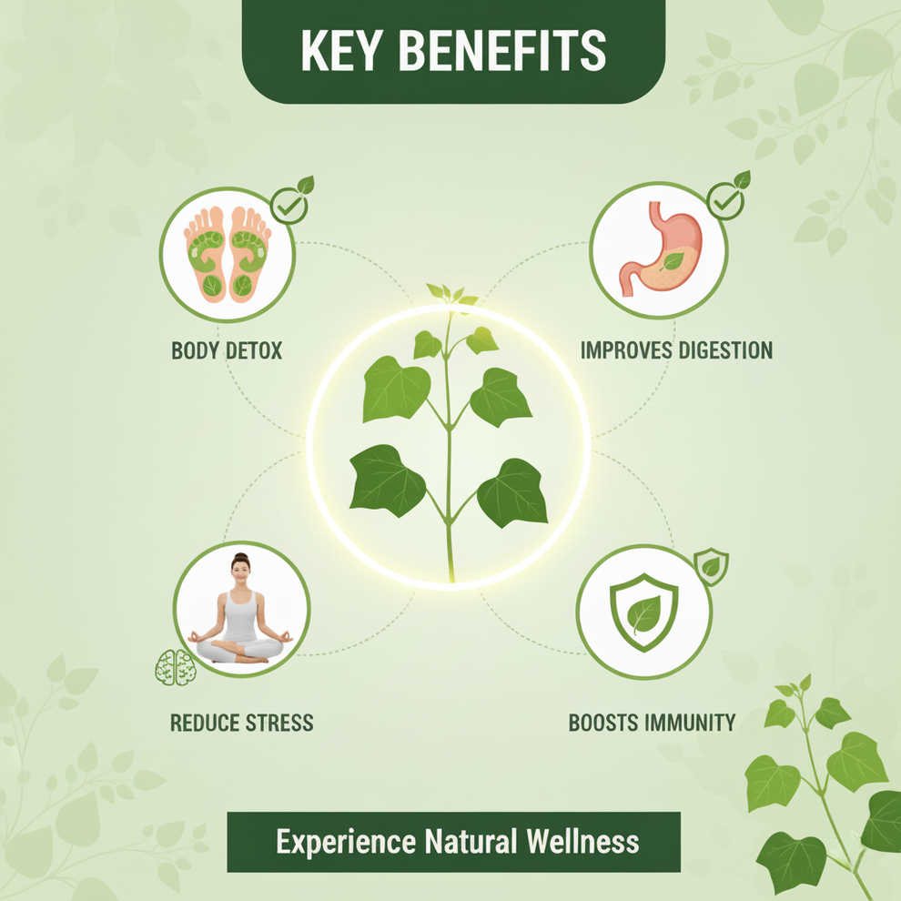 Herbal Giloy Patches 🌿✨ (Buy 1 Get 1 Free🔥🔥) (Pack of 20)